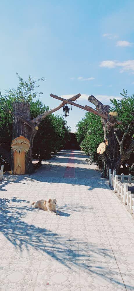 باغ ویلای استخردار دلربا