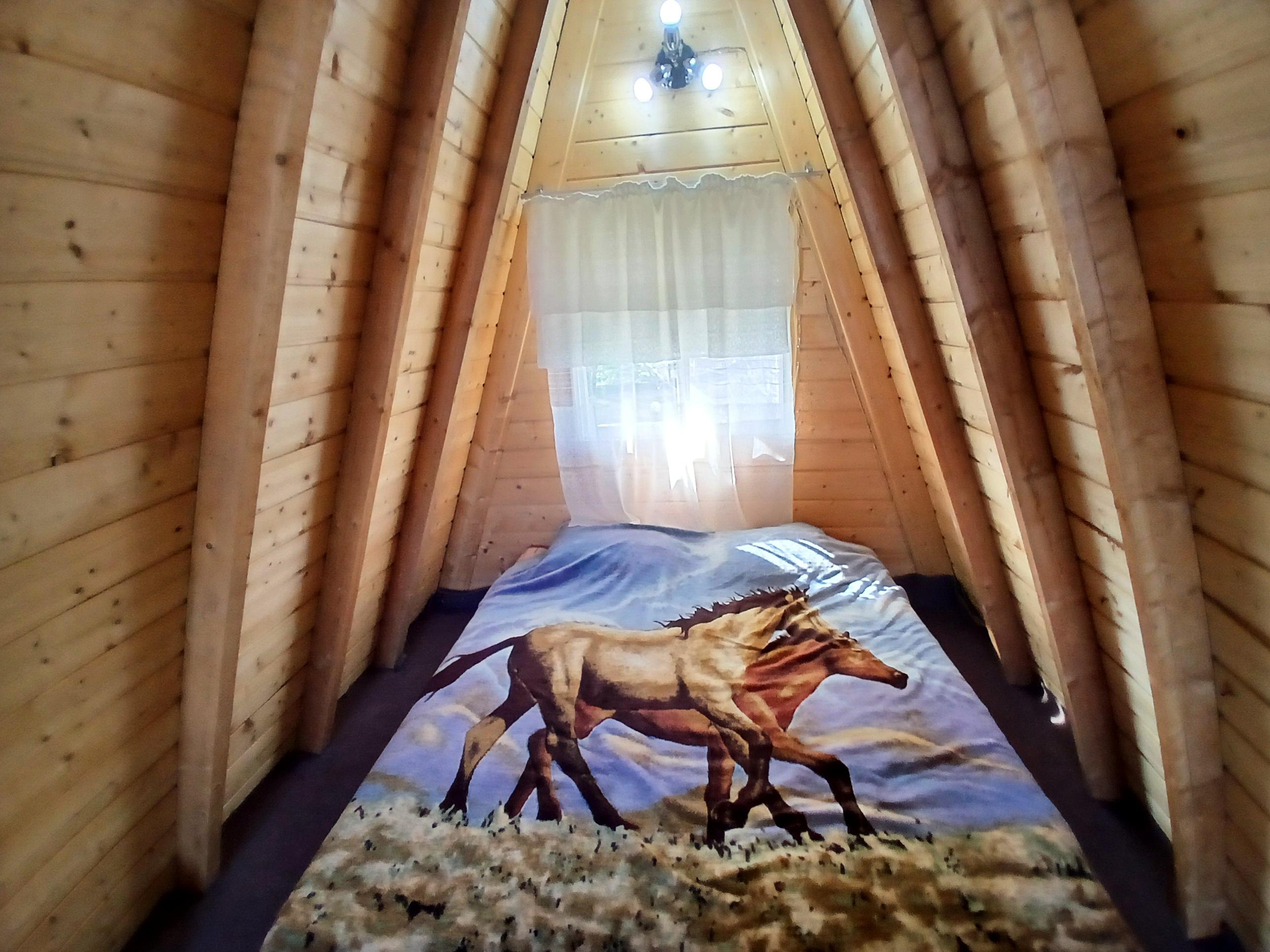 کلبه سوئیسی تک خواب تیماس