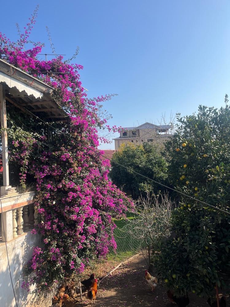 ویلایی سه خوابه شیک لیسار