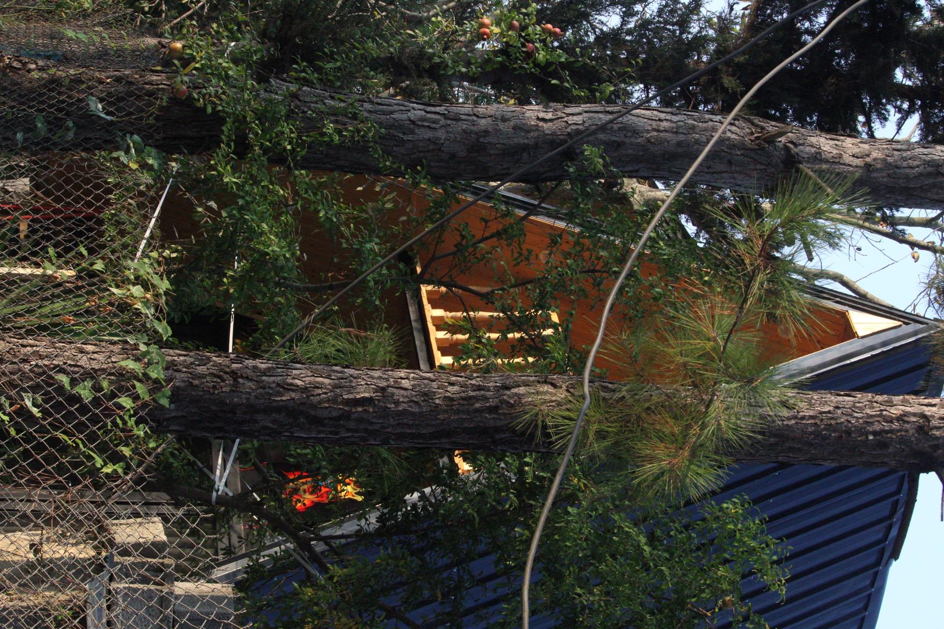 کلبه سوئیسی دو خواب کنار رودخانه