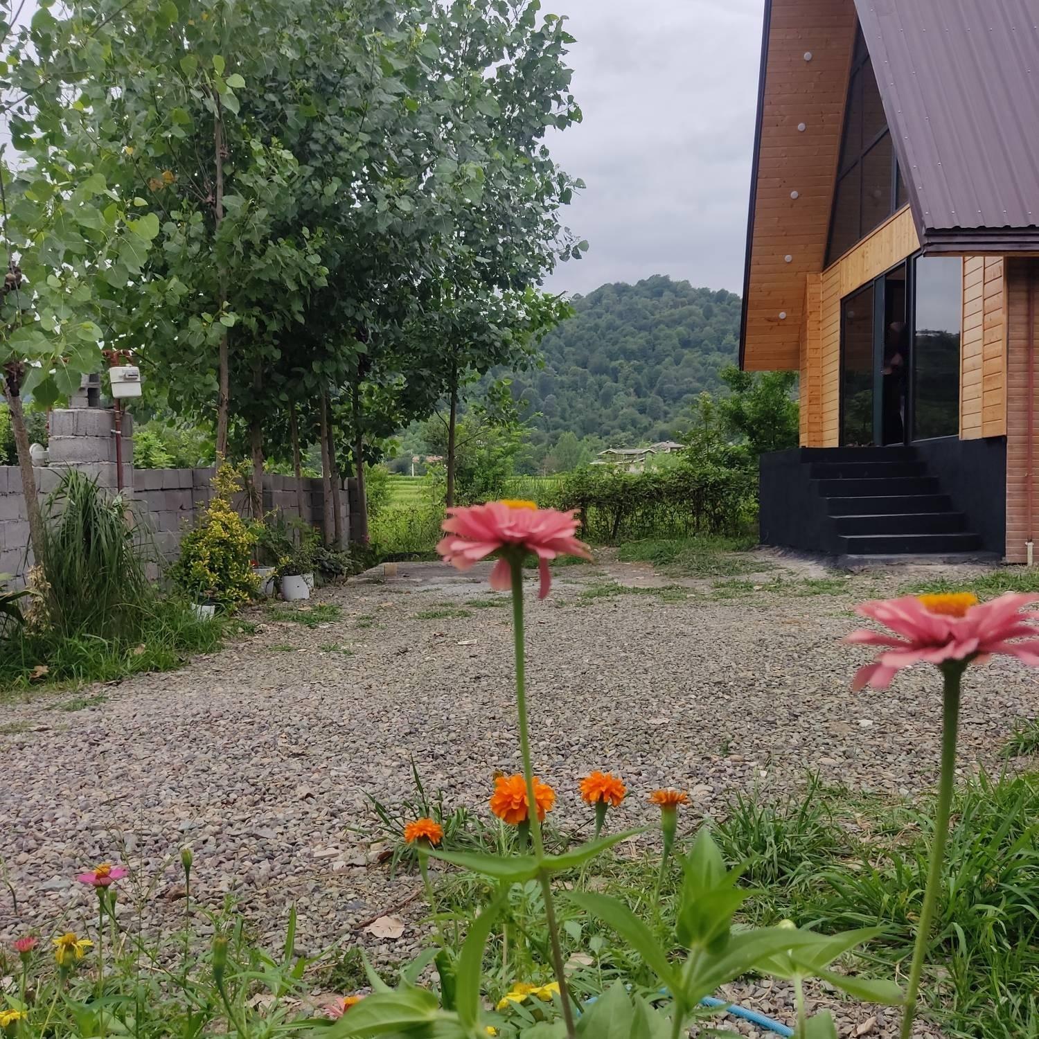 کلبه سوئیسی نارون طاسکوه