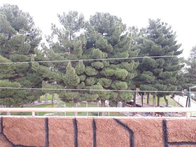 اجاره آپارتمان روزانه در کرمانشاه