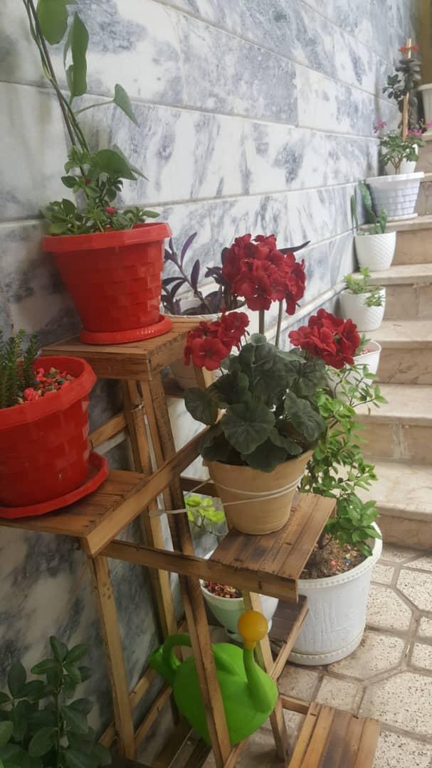 اجاره روزانه خانه نزدیک حرم در مشهد