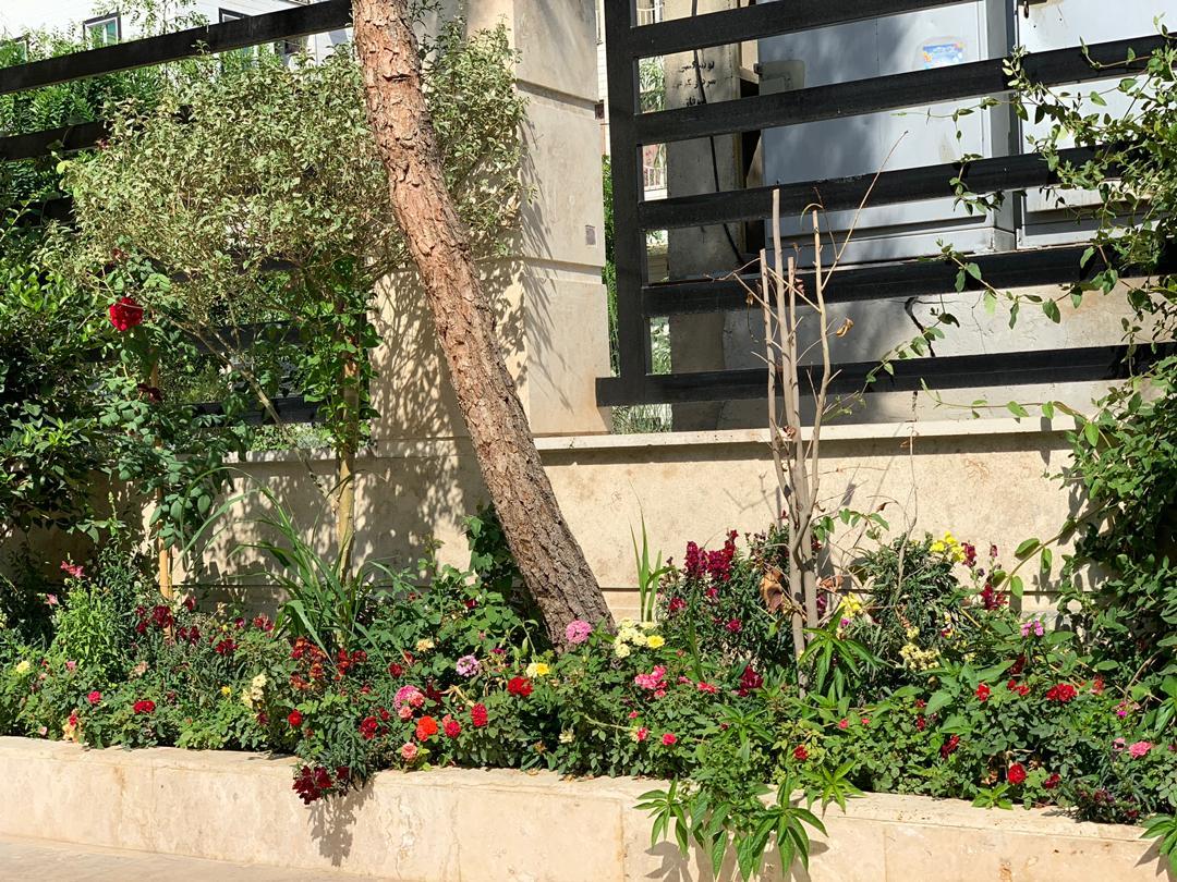 آپارتمان مبله دو خواب در جنت آباد