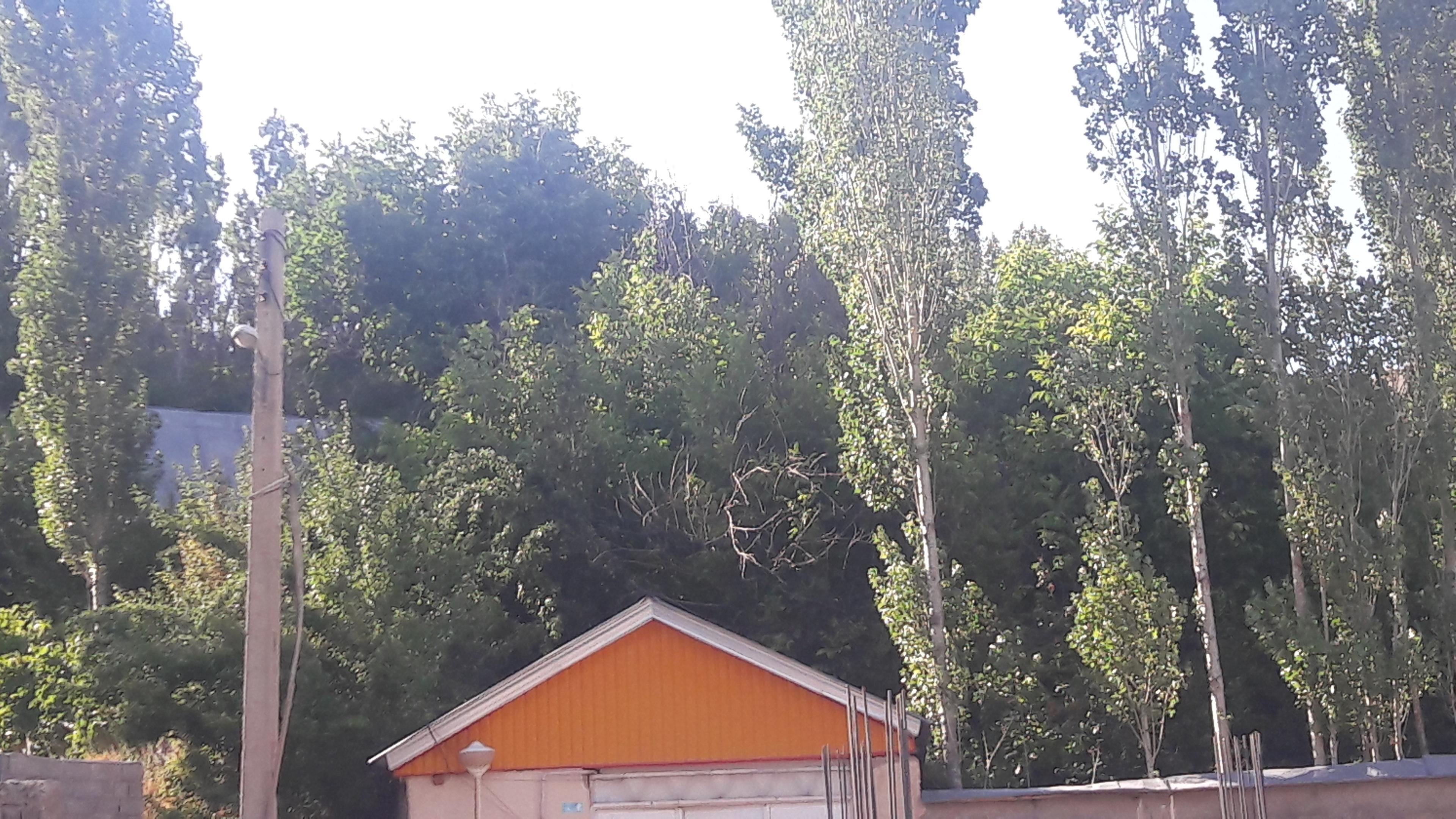 اجاره باغ ویلا در فیروزکوه 