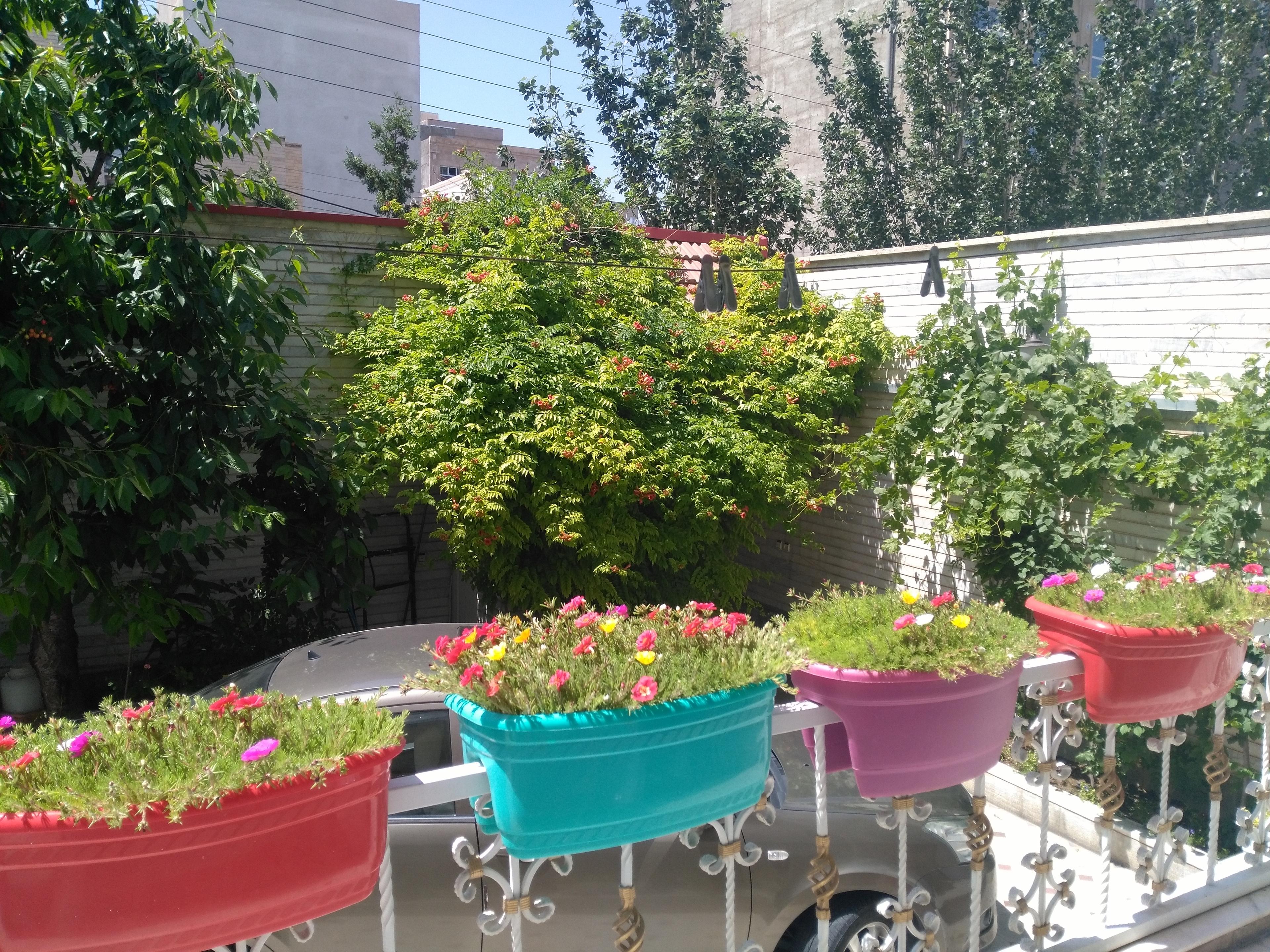 سوئیت گرین لایف ائل گلی تبریز پرواز واحد 1