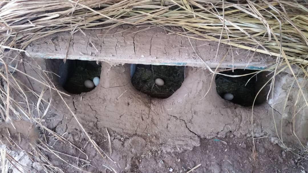 اقامتگاه بومگردی در روستای گیل خانه