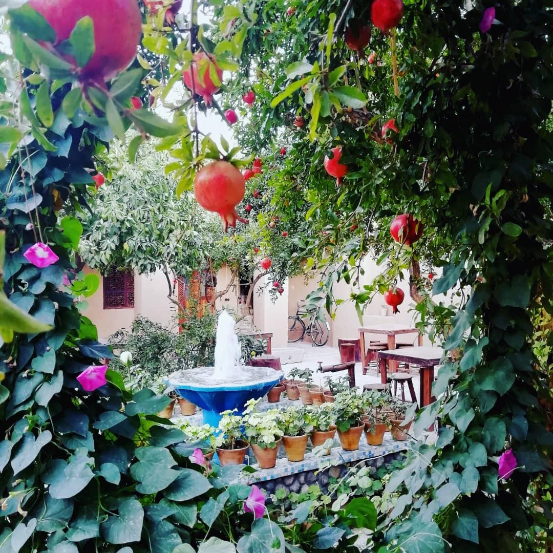 اقامتگاه بوم گردی نارستان ارسنجان