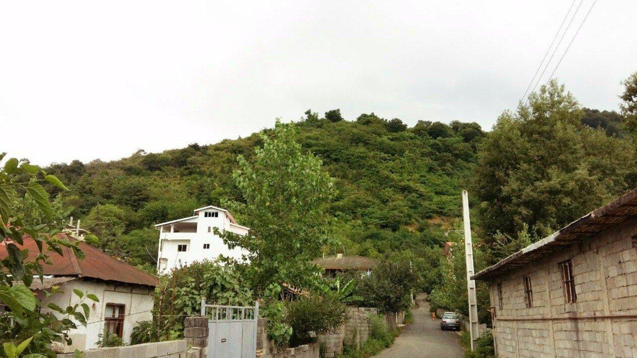 سوئیت جنگلی با چشم انداز زیبا تالش