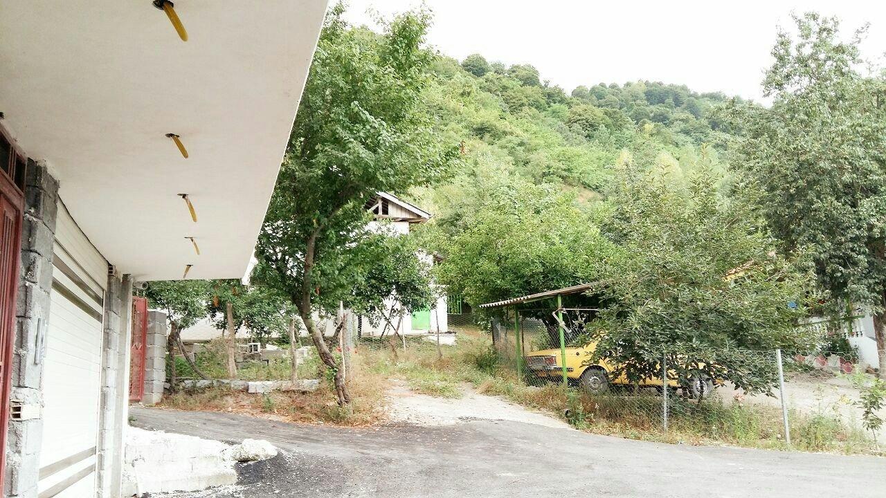 سوئیت جنگلی با چشم انداز زیبا تالش