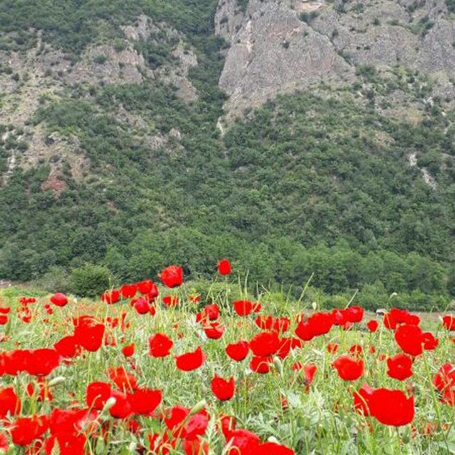 اجاره خانه روستایی در علی اباد کتول