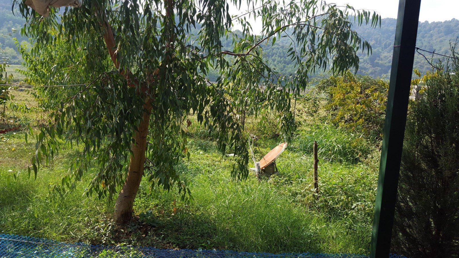 اجاره سوئیت تالش - دربست حیاط دار رو به جنگل