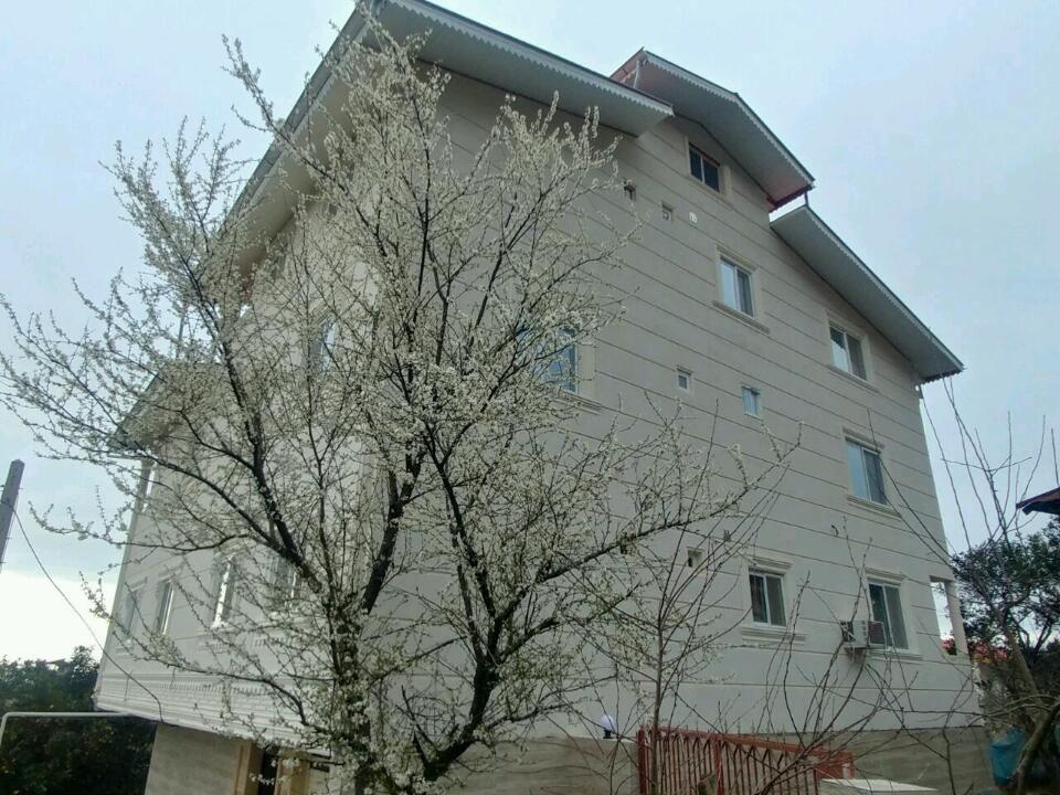 سوئیت آپارتمان تالش نزدیک جنگل و شهر