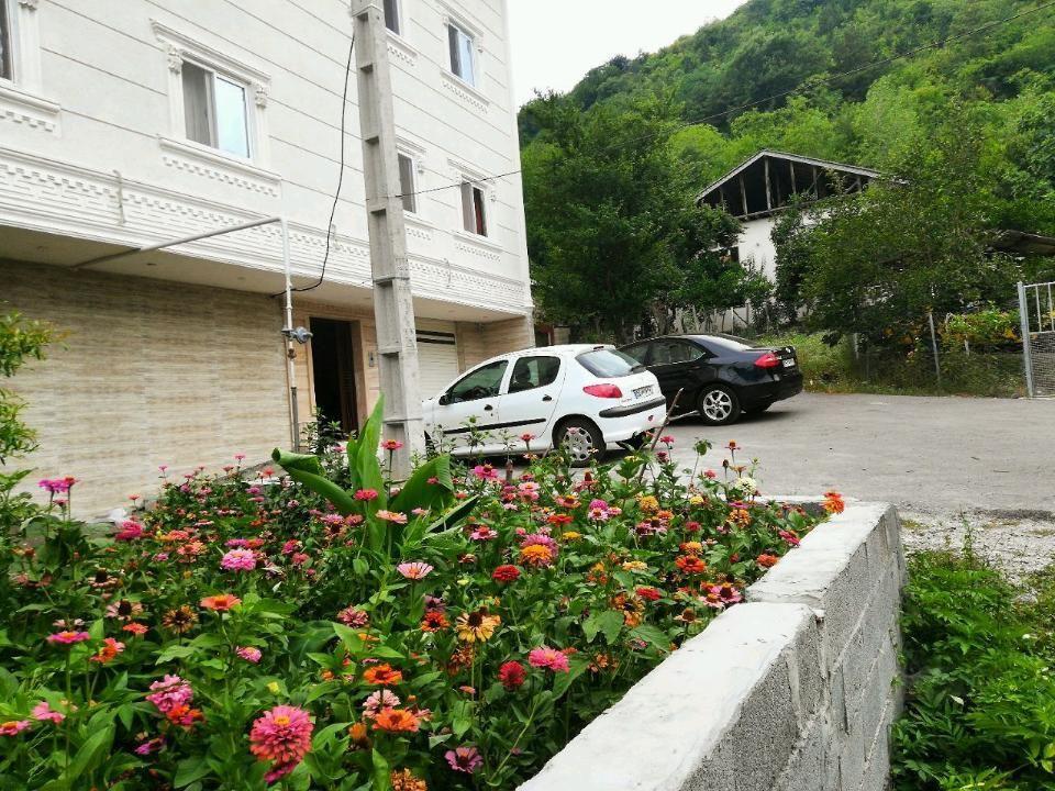 سوئیت آپارتمان تالش نزدیک جنگل و شهر