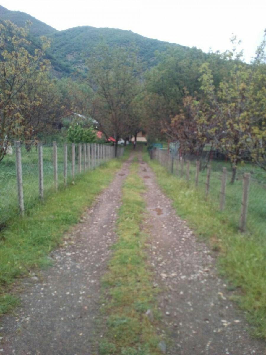 اجاره ویلا تالش دو خواب لب رودخانه ای در مریان