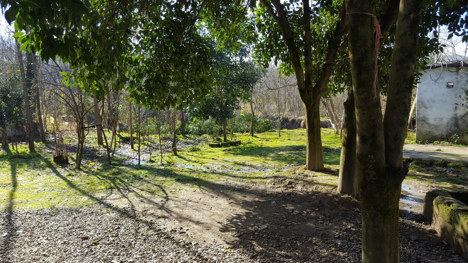 اجاره آپارتمان در جنگل گیسوم لب رودخانه