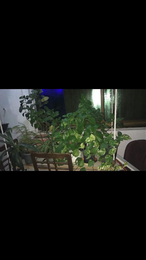 اجاره روزانه آپارتمان مبله در بندرعباس