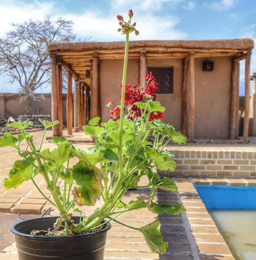 اجاره اقامتگاه بومگردی عمارت کهبد بسطام