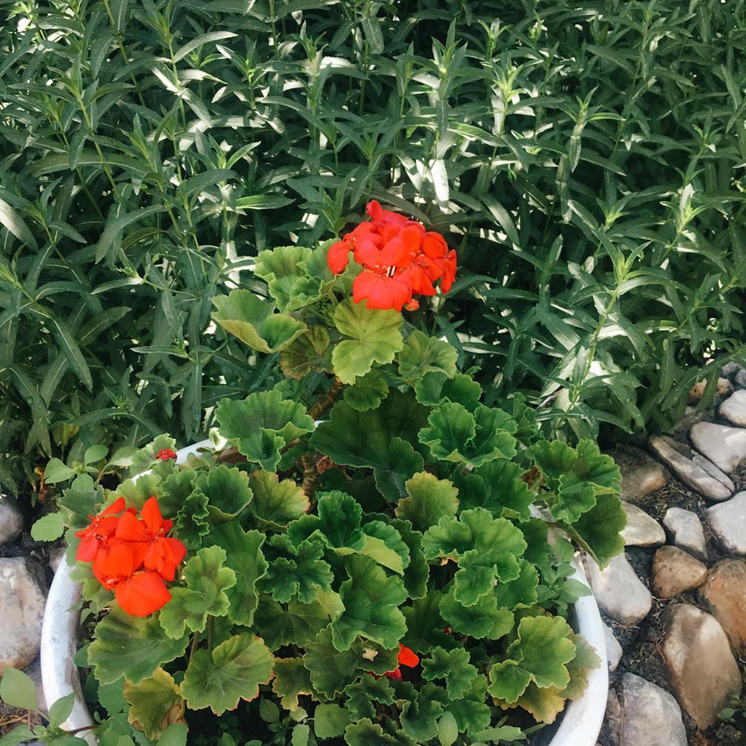 اجاره اقامتگاه بوم گردی در خوانسار