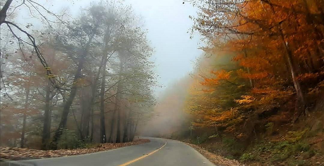 ویلا روی کوه و جنگل بر رودخانه اسالم