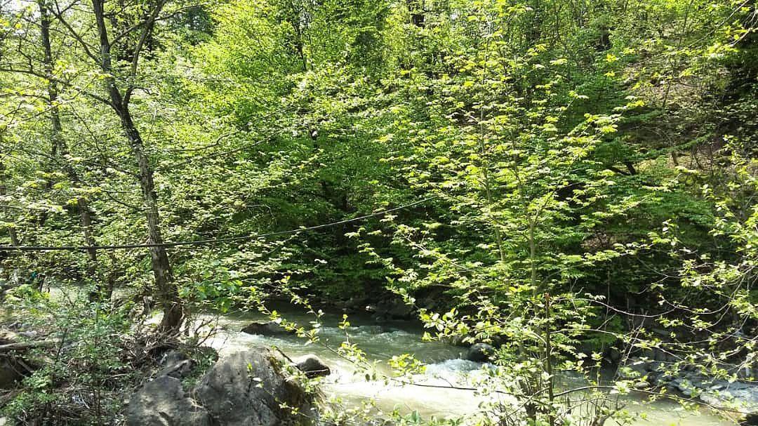 ویلا جنگلی دوبلکس با آلاچیق مسقف بر رودخانه اسالم