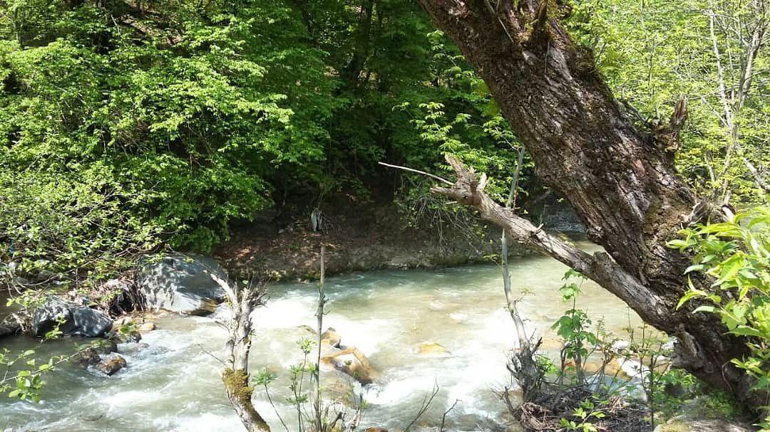 ویلا جنگلی دوبلکس با آلاچیق مسقف بر رودخانه اسالم