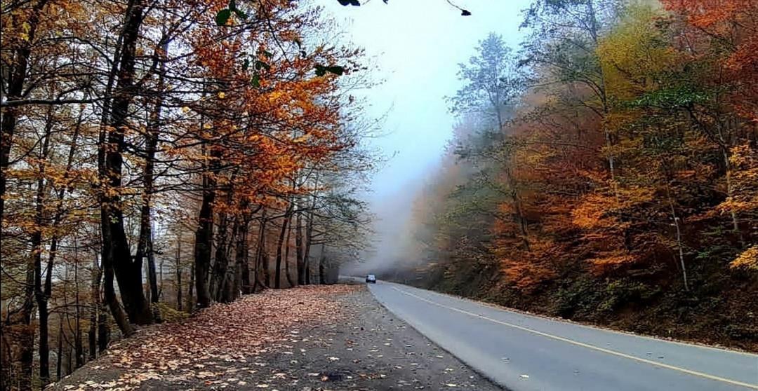 ویلا جنگلی دوبلکس با آلاچیق مسقف بر رودخانه اسالم