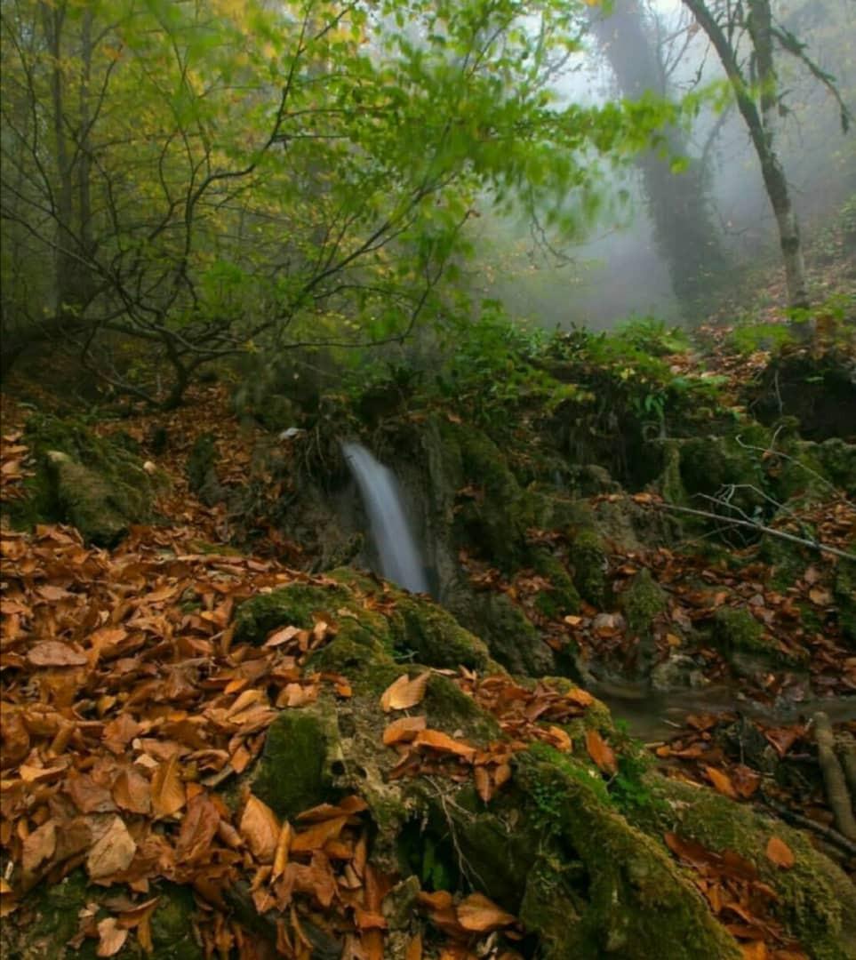 ویلا جنگلی دوبلکس با آلاچیق مسقف بر رودخانه اسالم