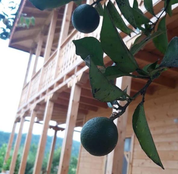 اقامتگاه بوم گردی در شهر رضوانشهر