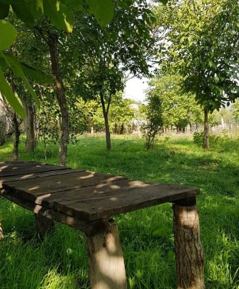 اقامتگاه بوم گردی در شهر رضوانشهر