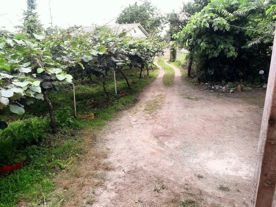 باغ ویلای دربستی در ساحل لیسار تالش