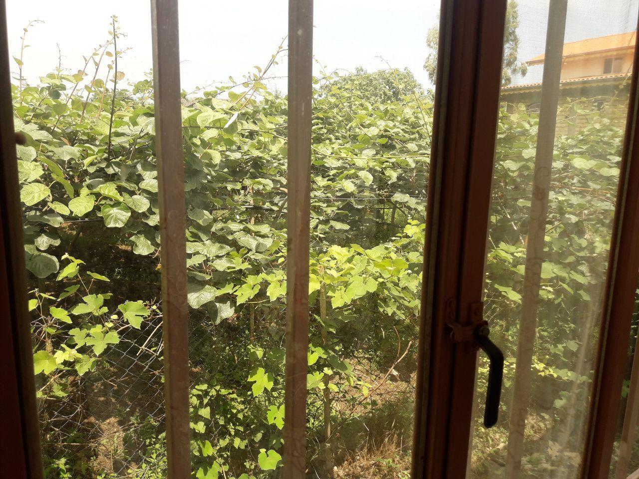 باغ ویلای دربستی در ساحل لیسار تالش