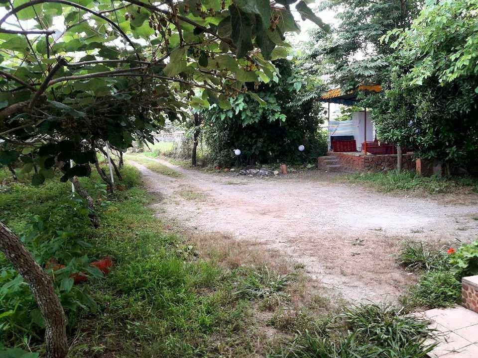 باغ ویلای دربستی در ساحل لیسار تالش