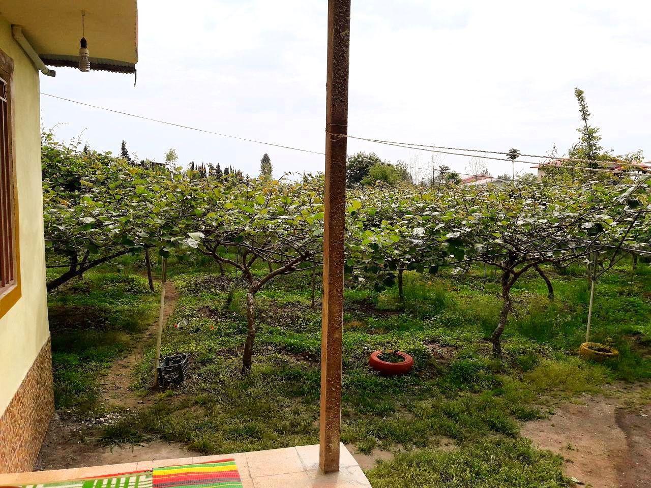 باغ ویلای دربستی در ساحل لیسار تالش