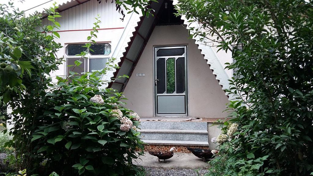 اجاره ویلای دربست ساحلی در تالش