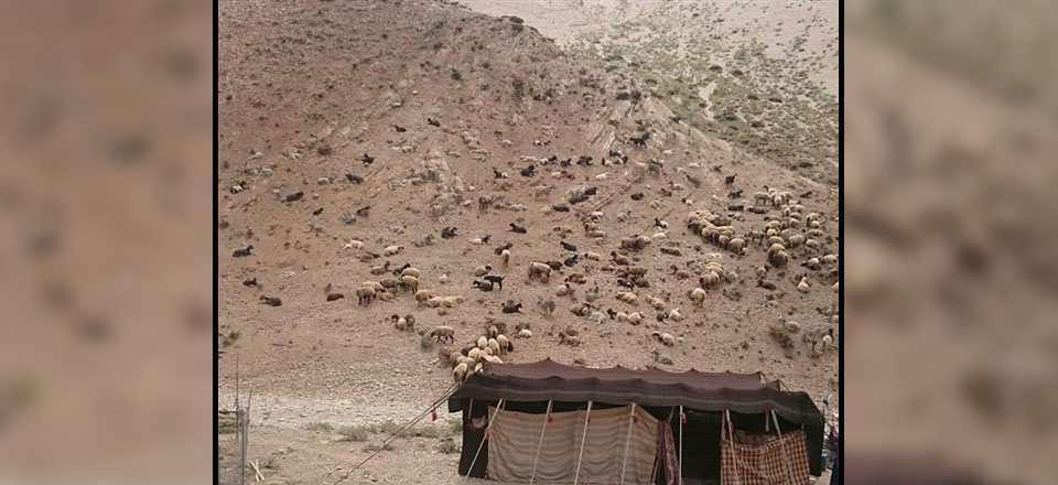 اقامتگاه بوم گردی کوچ بوم در سپیدان