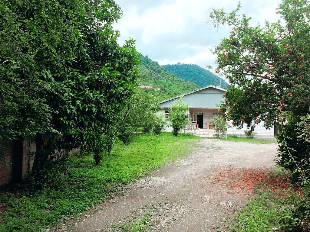 اجاره ویلا لاکچری در ماسال کوهپایه ای