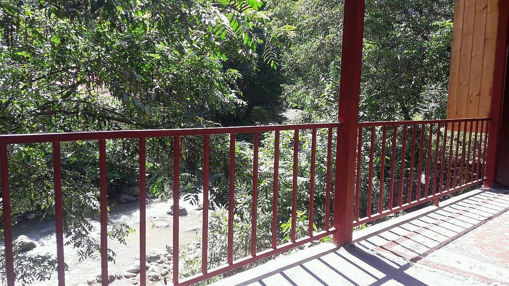 اجاره واحد جنگلی لب رودخونه در ماسال