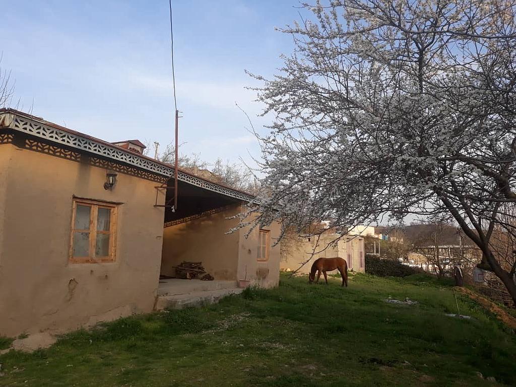 اجاره اقامتگاه بوم گردی یاشیل در مراوه تپه