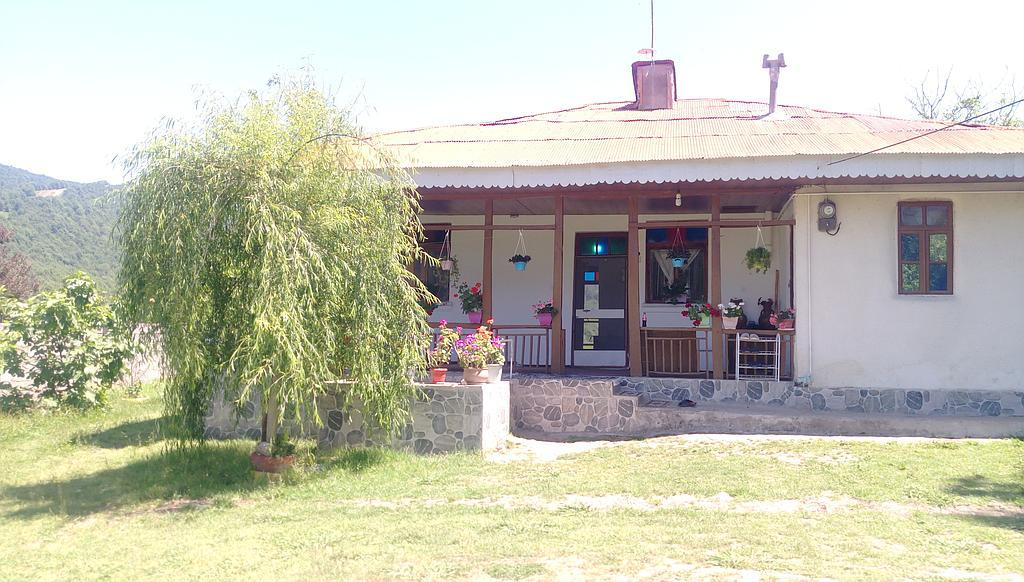 اجاره خانه در روستای حلیمه جان