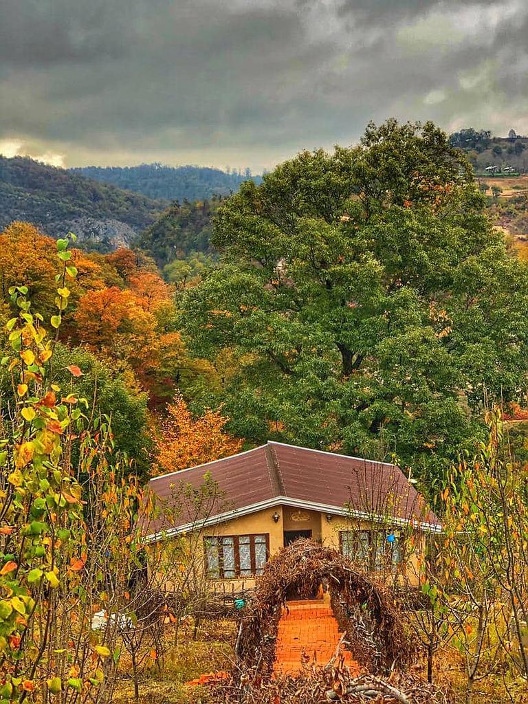 ویلای جنگلی چسبیده به دریاچه سد اقامتگاه وارش