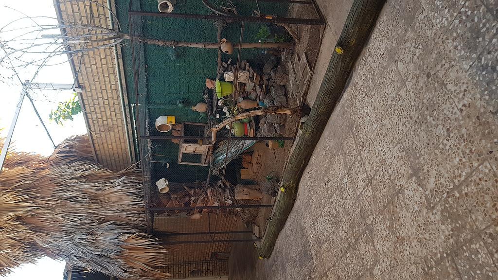 اجاره سوئیت با ورودی مجزا در دزفول