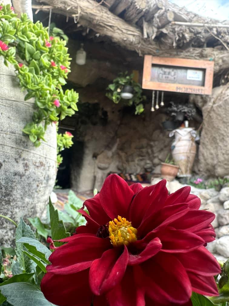 بوم گردی بن میمند در اطراف شهربابک