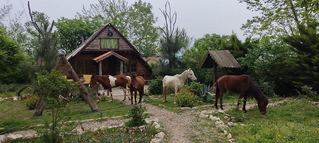 اقامتگاه بوم گردی عمارت تابان ساری