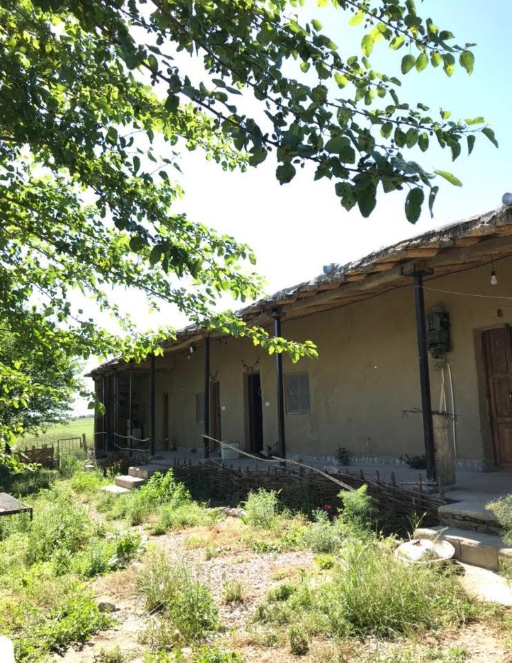 بوم گردی آرتق اق قمیش در گالیکش