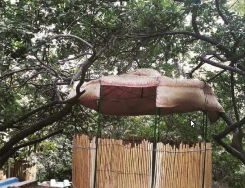 اقامتگاه بوم گردی گارچی در جیرفت