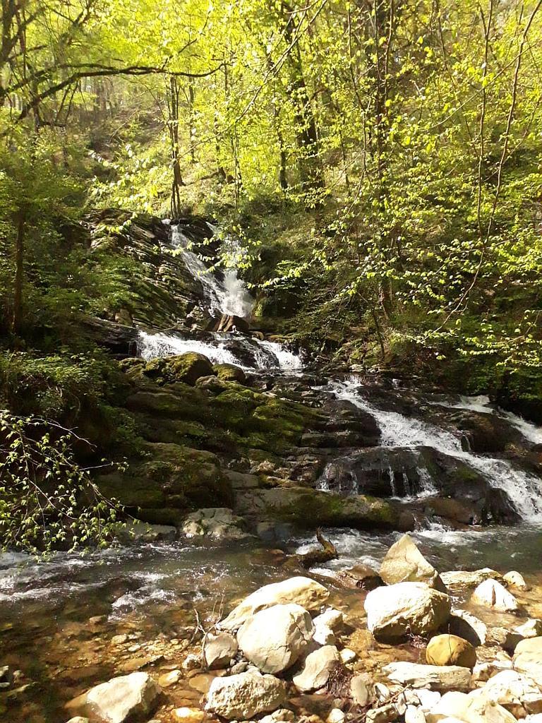 منزل بومگردی سنتی فانوس در رودبار