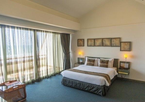 سوئیت محوطه B هتل نارنجستان نور