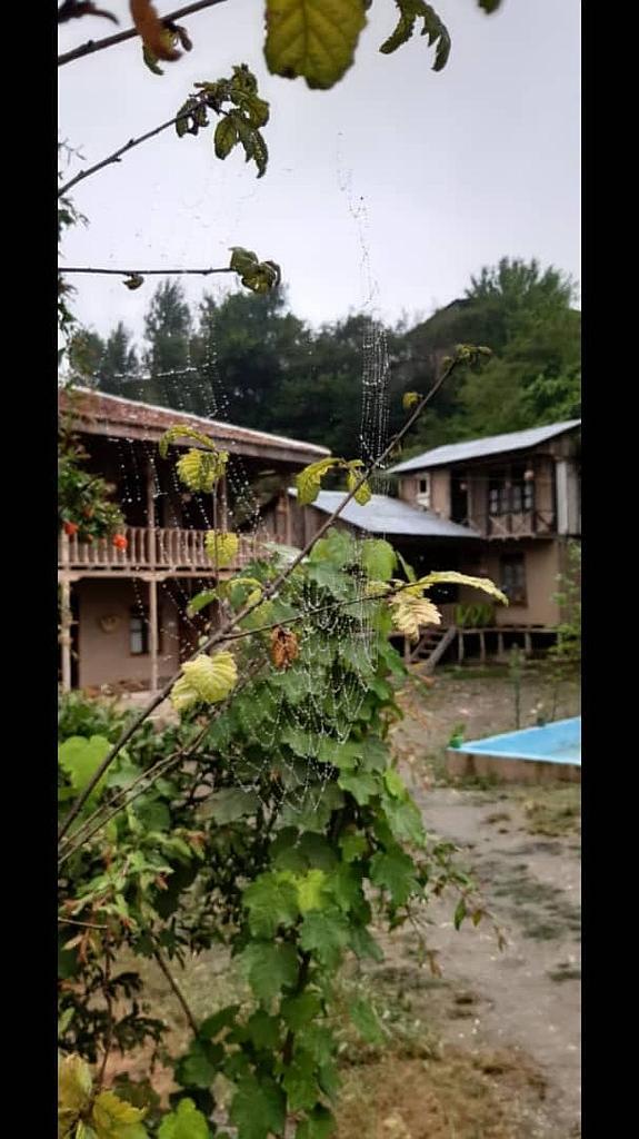 اجاره روزانه کلبه جنگلی در گرگان