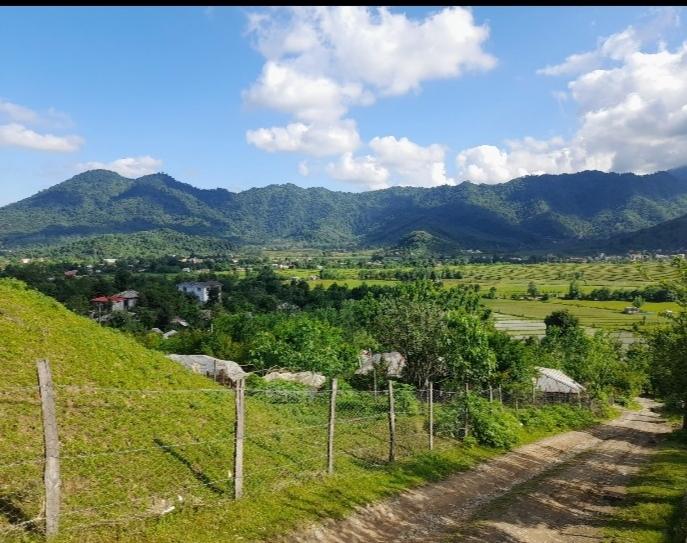 ویلا یکخوابه جنگلی سوشیان ماسال